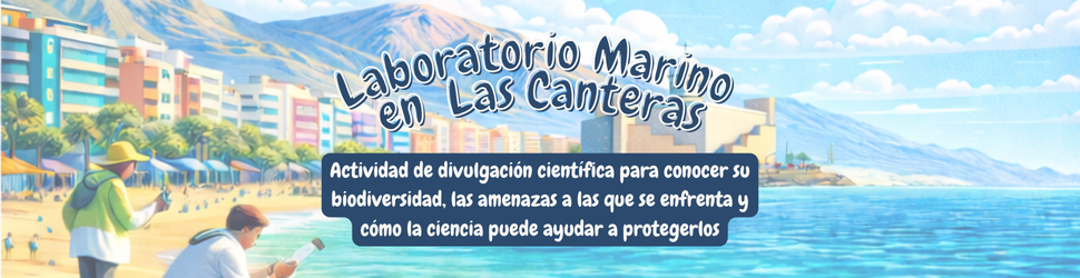 Banner web
