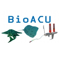 Proyecto BioACU, primeras pruebas